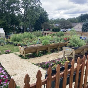 Daily Bread Produce Garden in Gahanna, OH