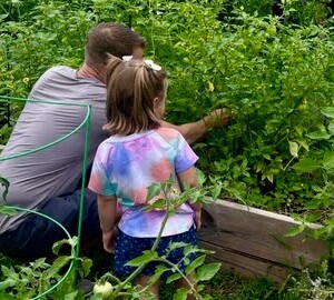 Daily Bread Produce Garden in Gahanna, OH