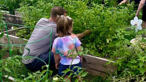 Daily Bread Produce Garden in Gahanna, OH