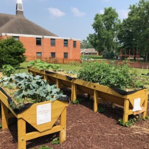 Daily Bread Produce Garden in Gahanna, OH.