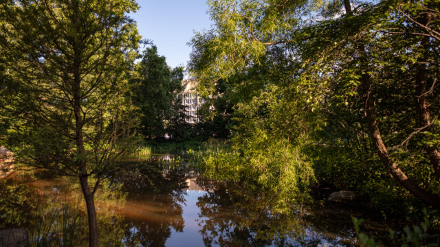Summertime photo of the pond outside the National Museum of the American Indian.